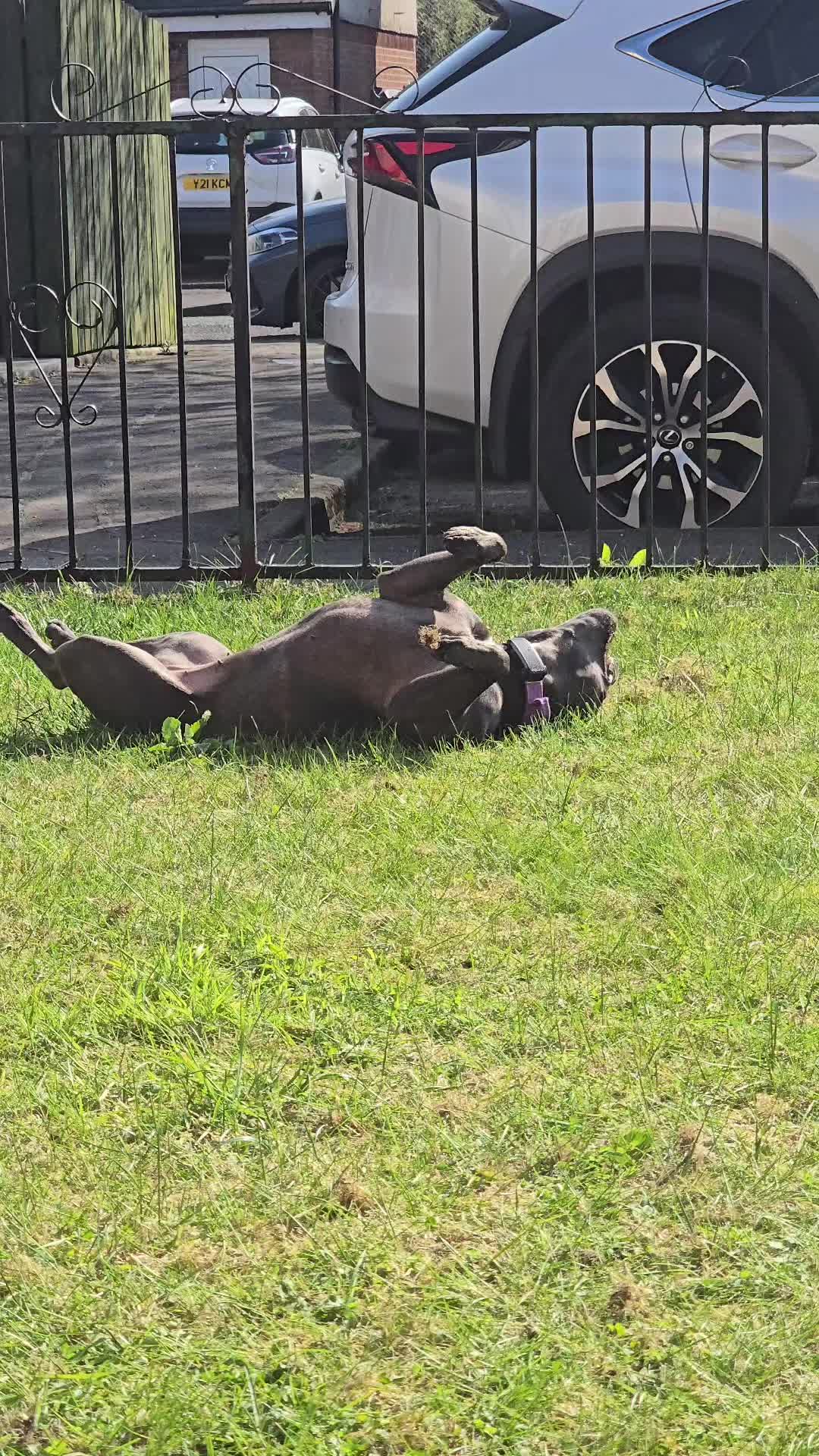 @Erin_GC_Karma_Gracie