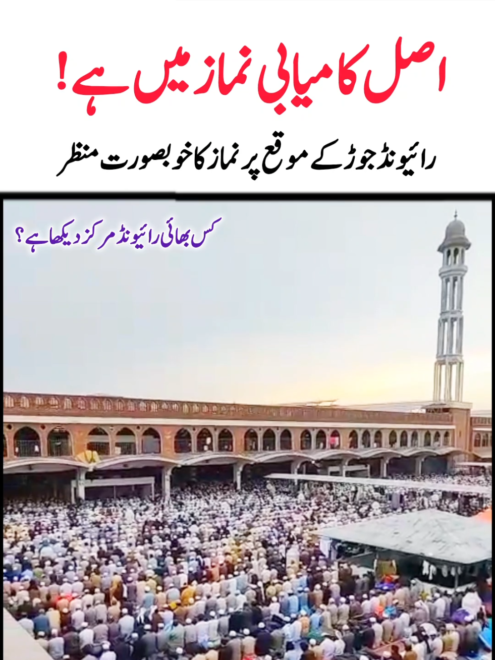 @Salman Ummati®