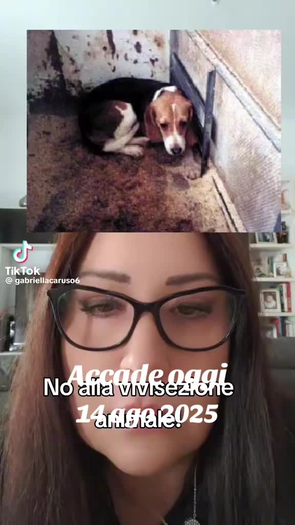 @Venerd&igrave;