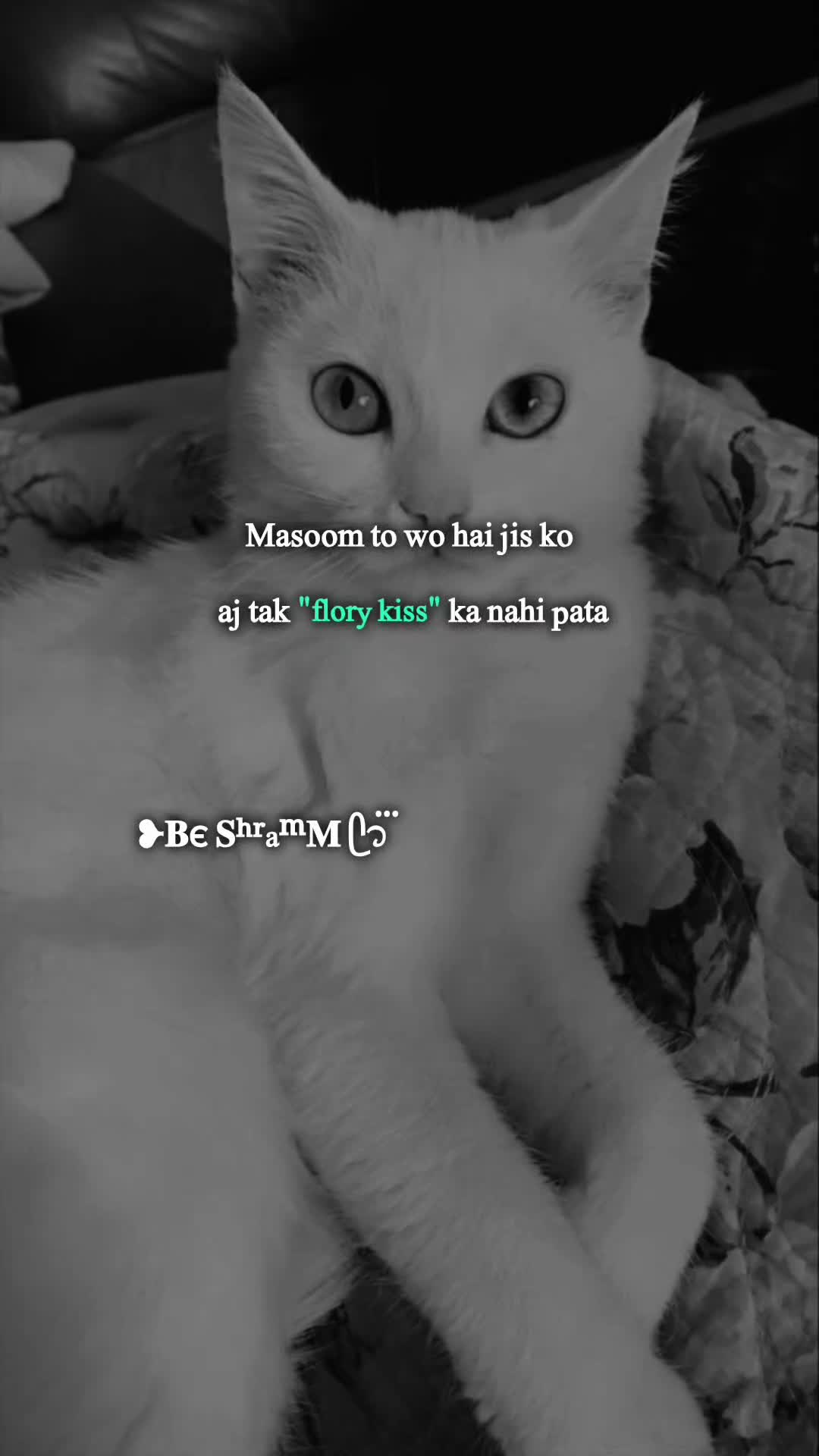 @❥𝐁є 𝐒ʰʳaᵐ𝐌 ᥫ᭡፝֟፝֟