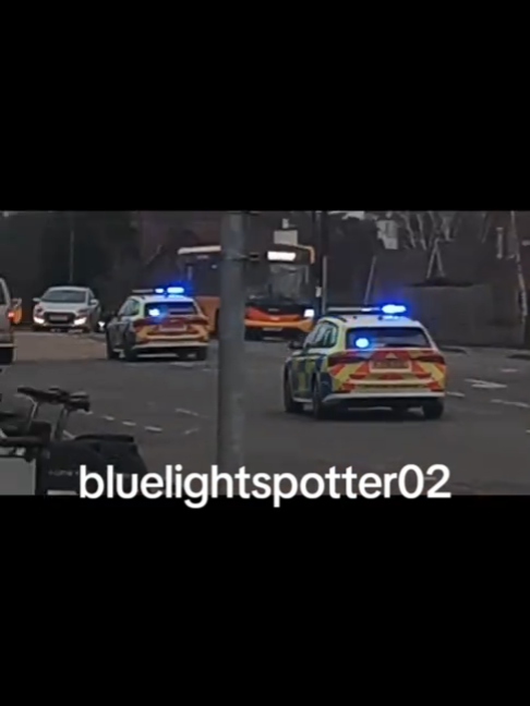 @blue light spotter02
