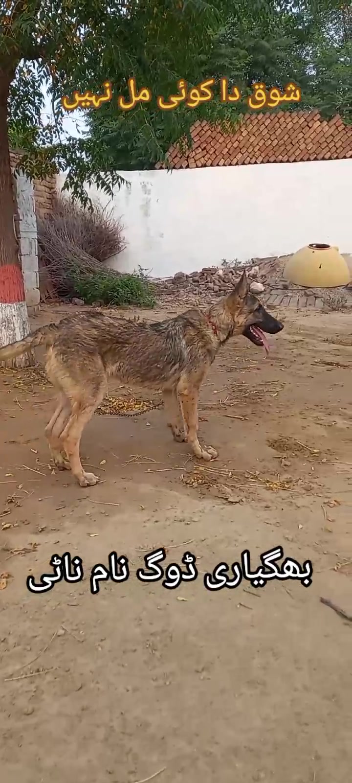 @Arshad Hussain990