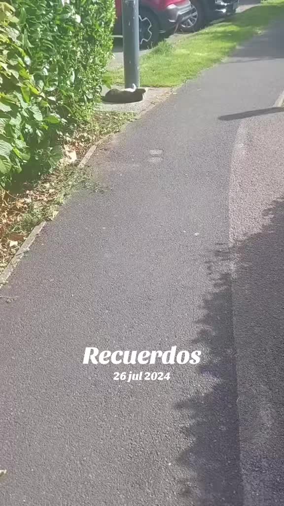 @karolinaBL🍀🍀🍀🍀