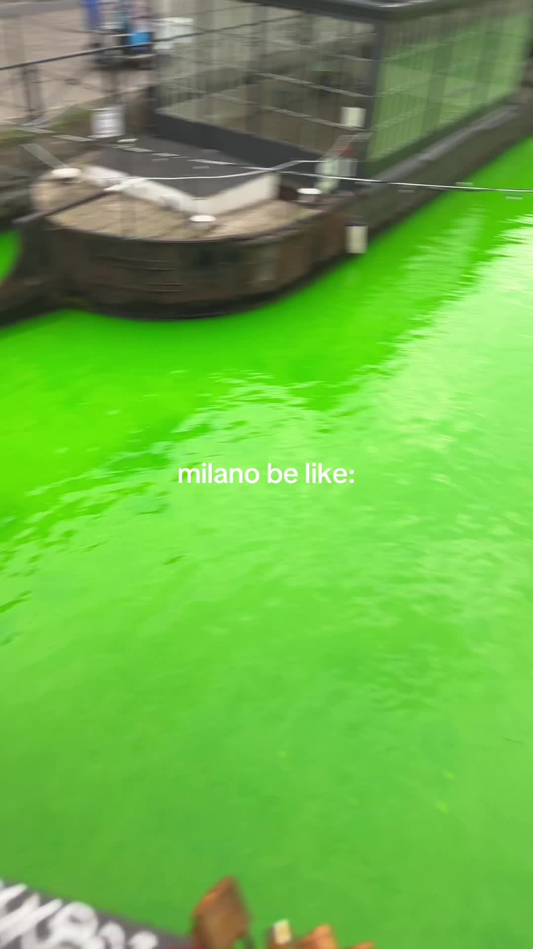 @omarfurtuna