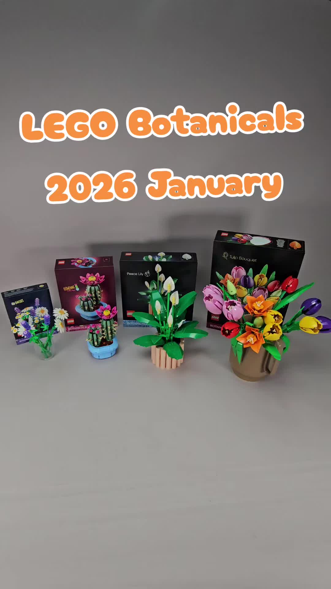 @RacingBrick