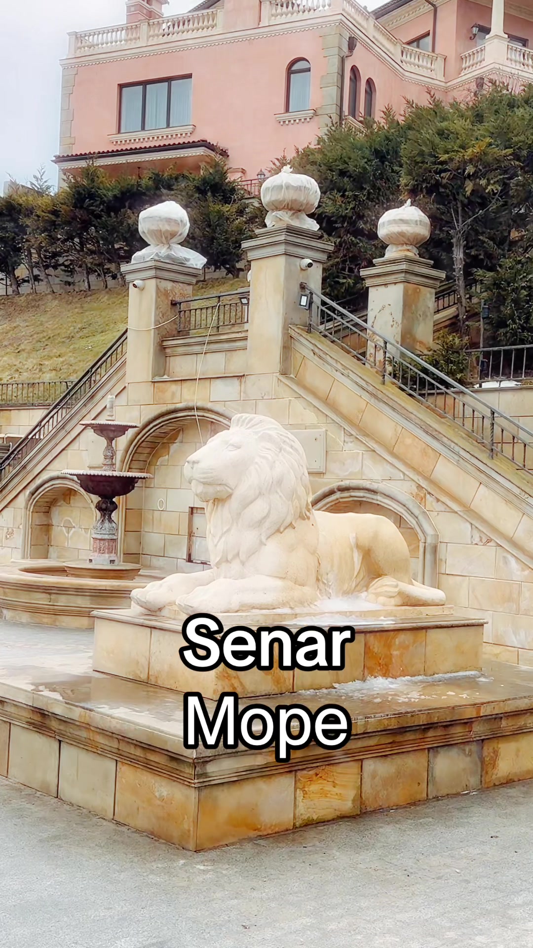 @senar_official