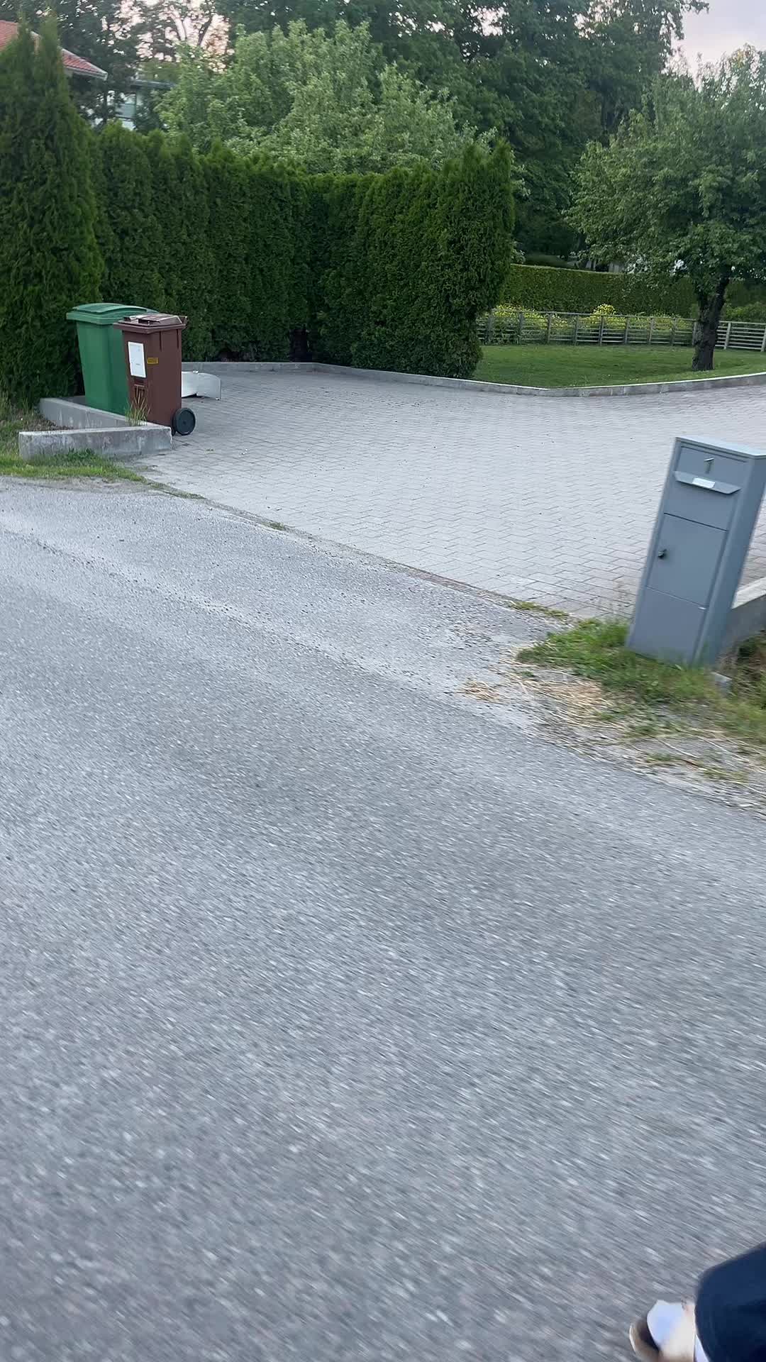 @Ebba Ludvigsson