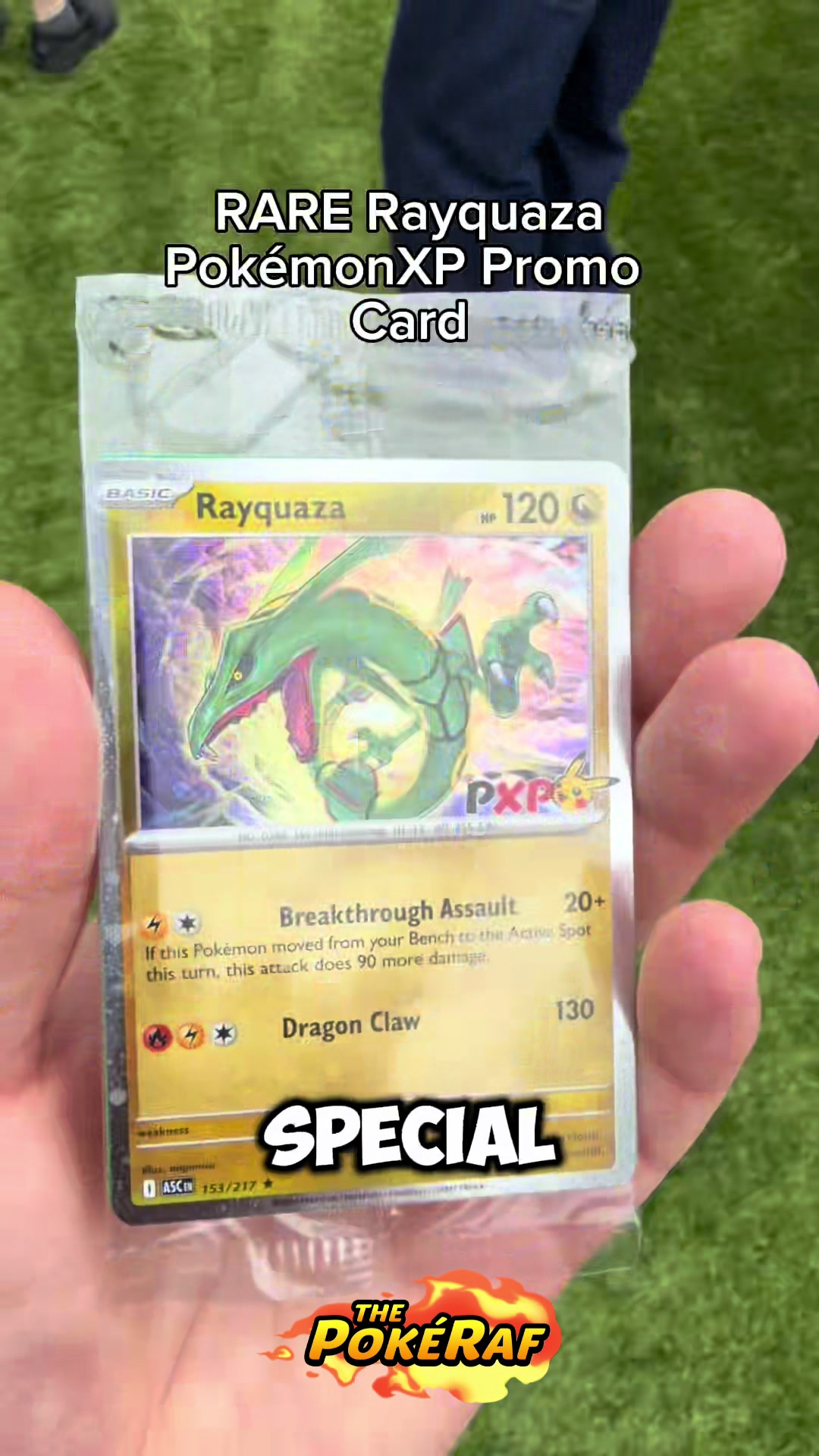 @ThePokéRaf