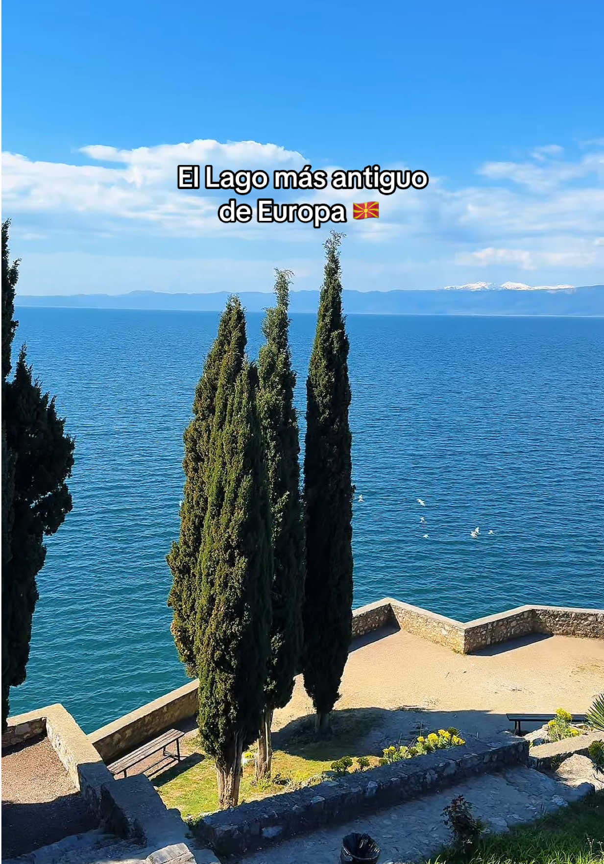 @delafuentecam