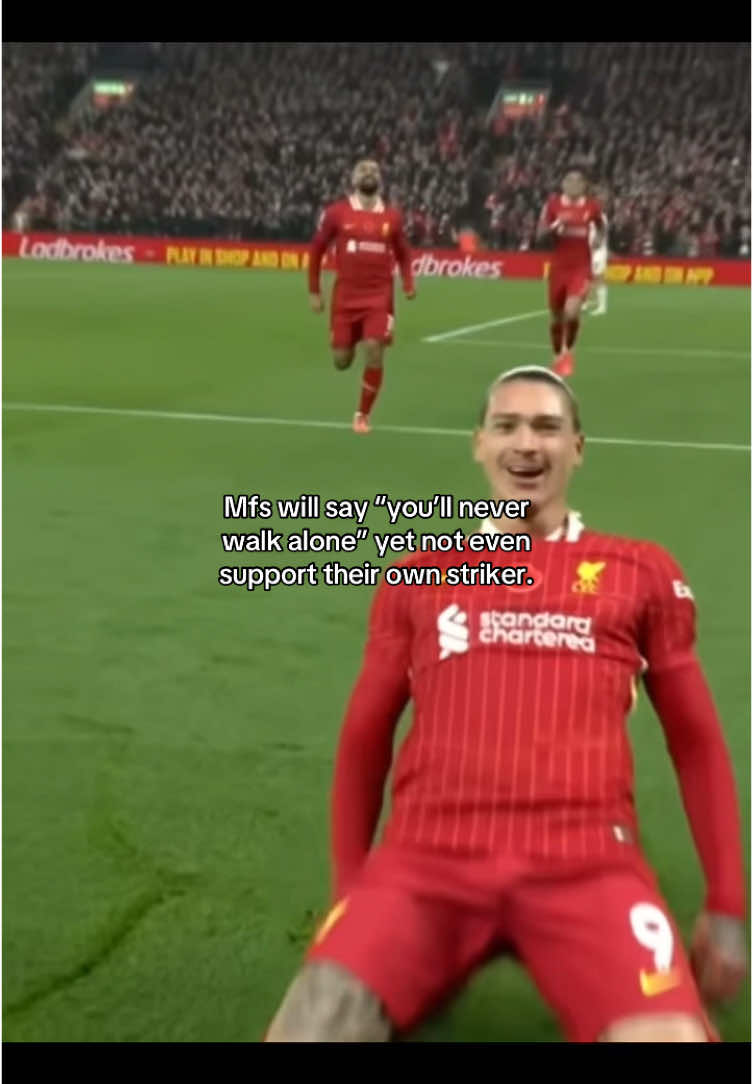 @lfcollz