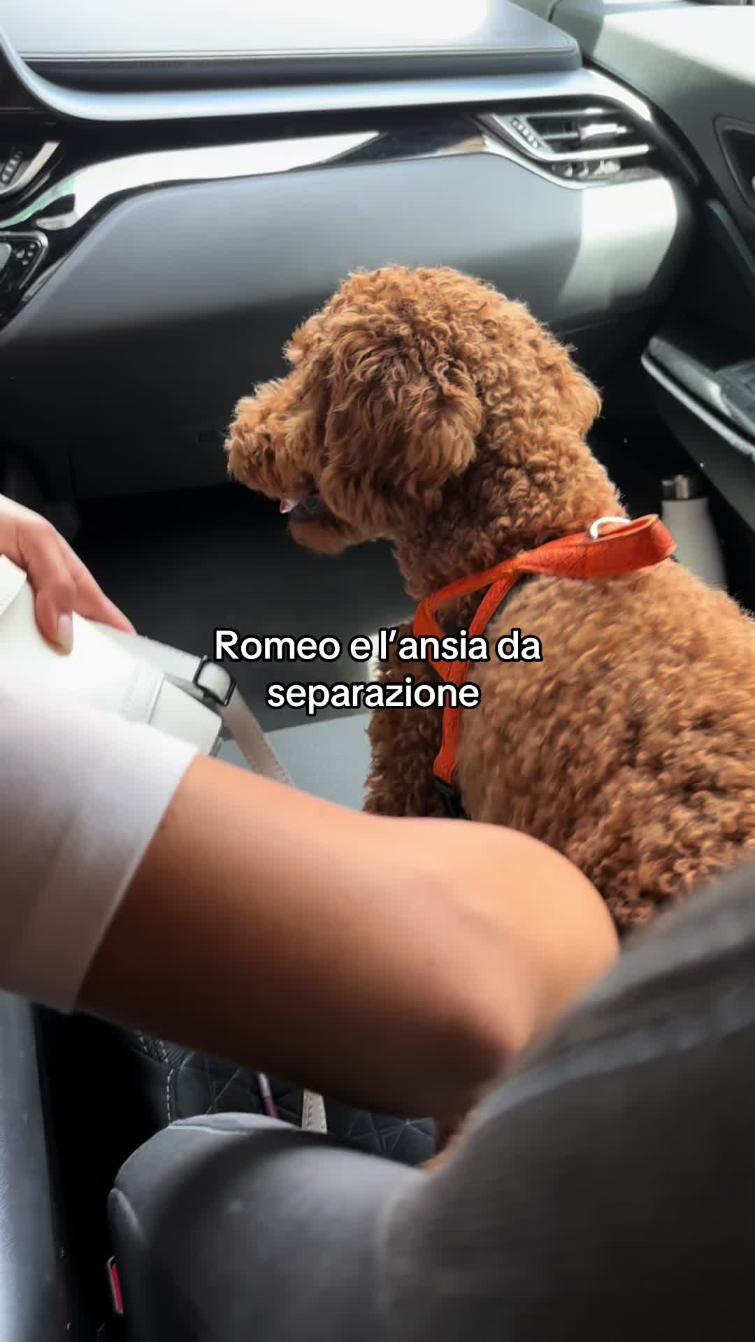 @Claudia