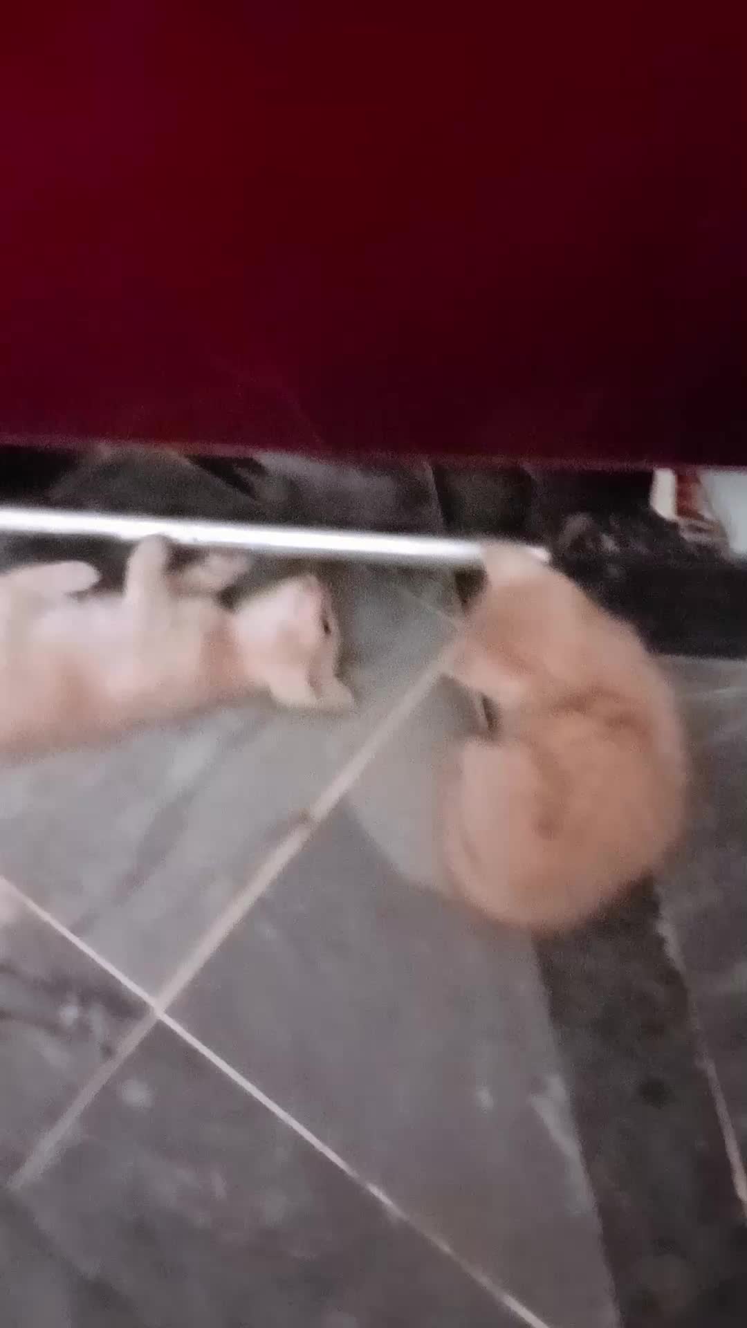 @cutecatlover8172