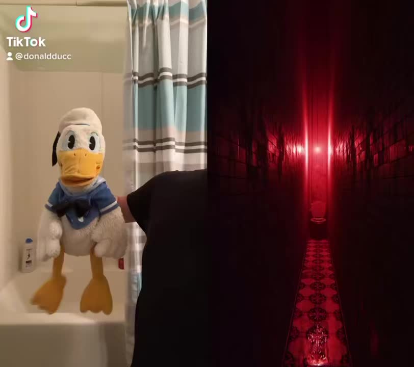 @DonaldDucc 🦆