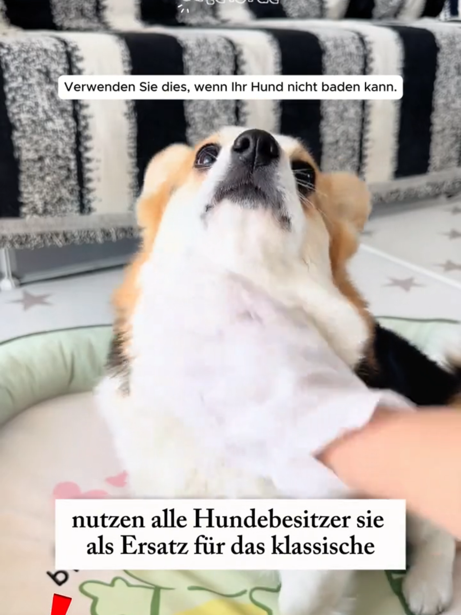@CuteLorde Germany
