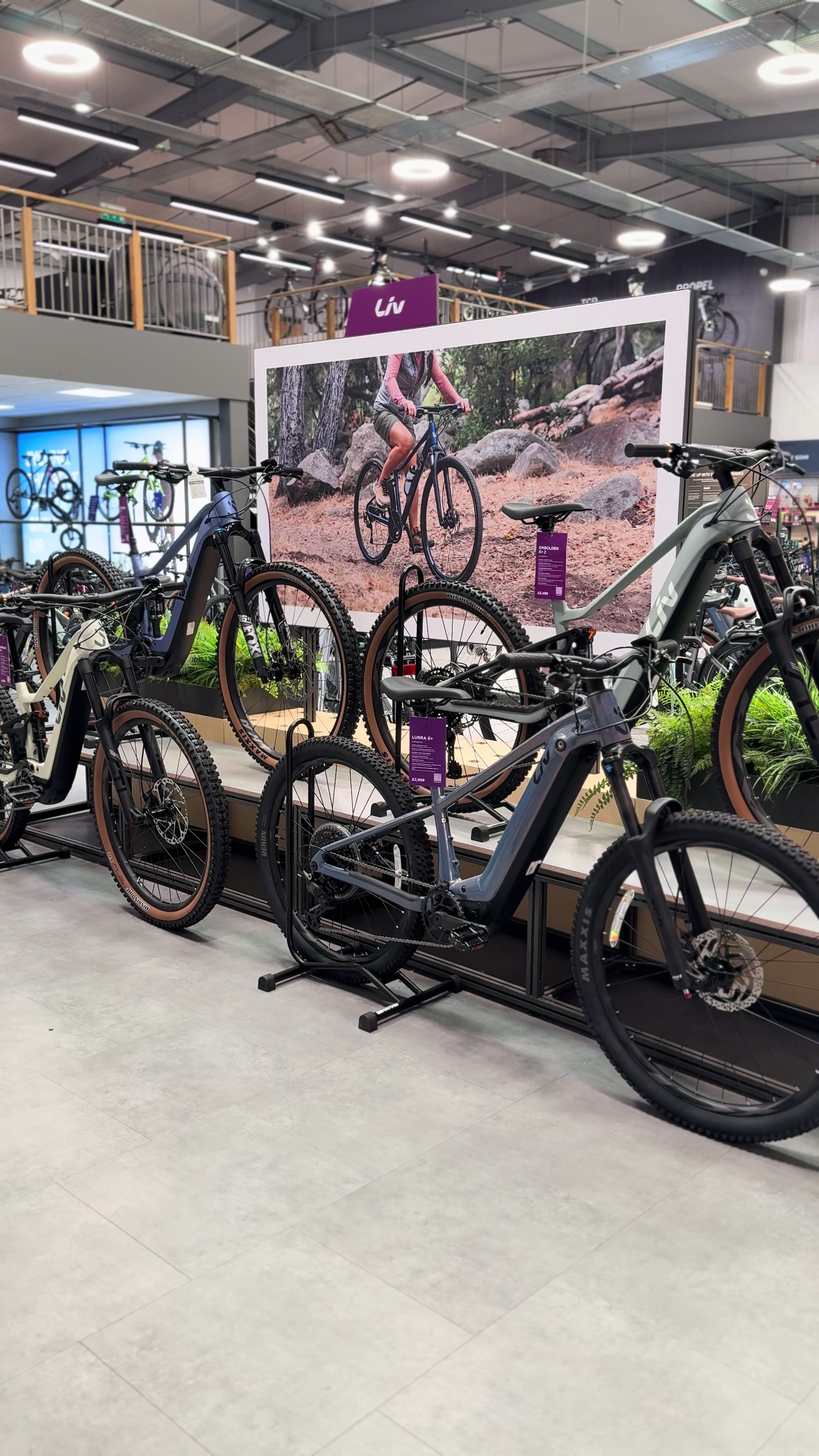 @Giant_Lincoln 🚴
