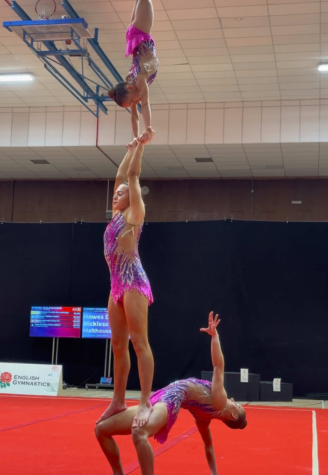 @acrogym.tv