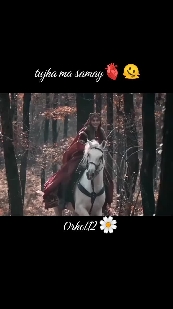 @ORHOL.12