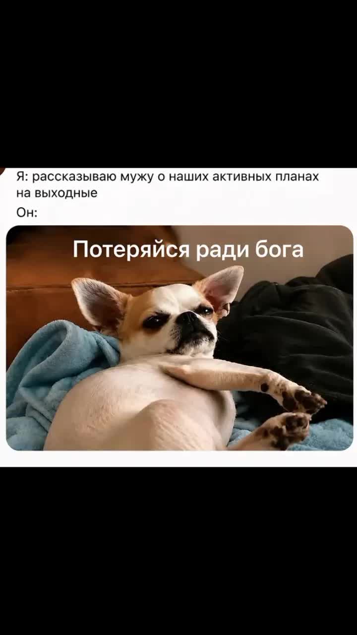 @Виктория Чеверикина