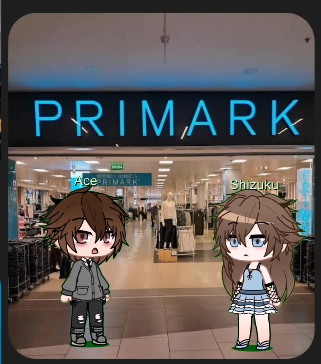 @shizuku