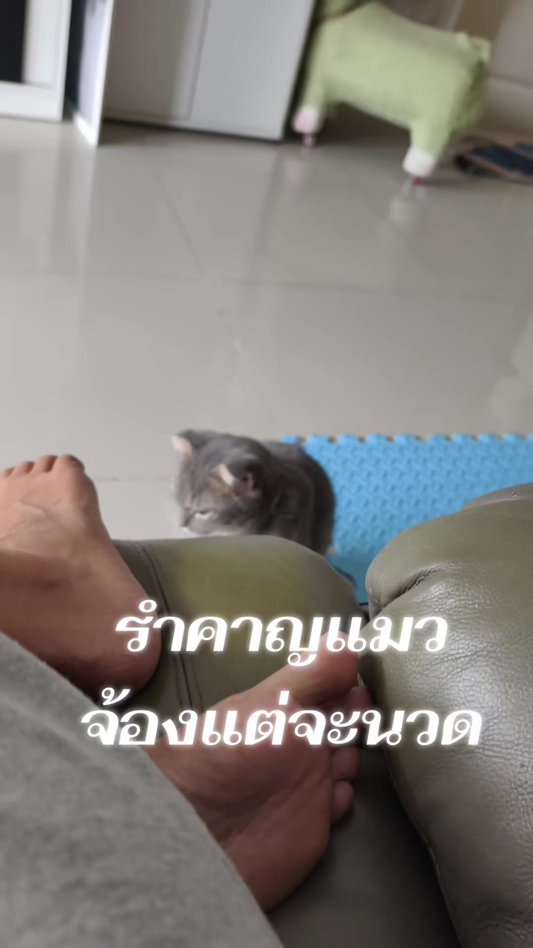 @🌻พี่หนูนิดมาแล้ว