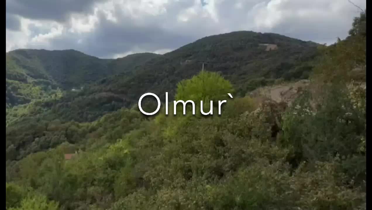 @𝐒𝐀𝐔𝐃𝐀𝐃𝐄