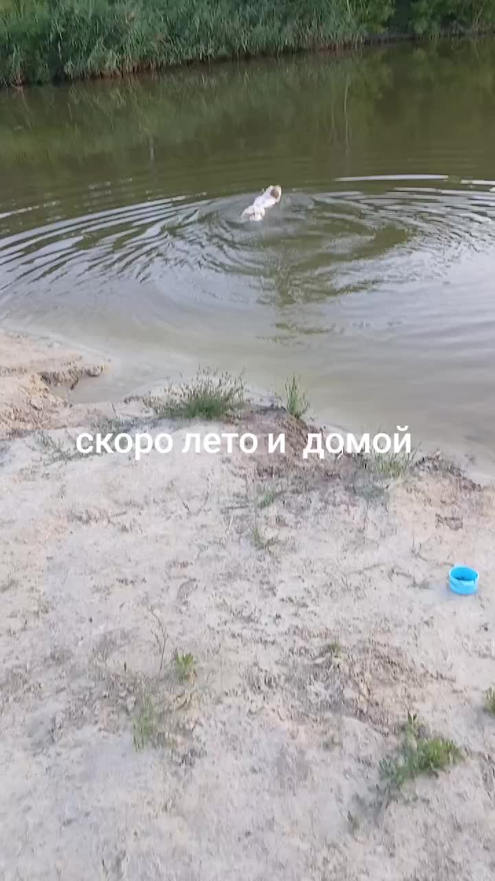@Эдик в законе