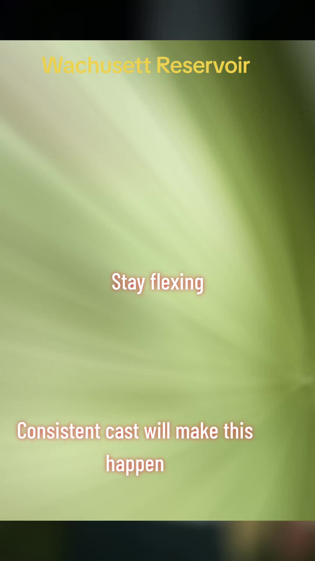 @Carlos Pagan