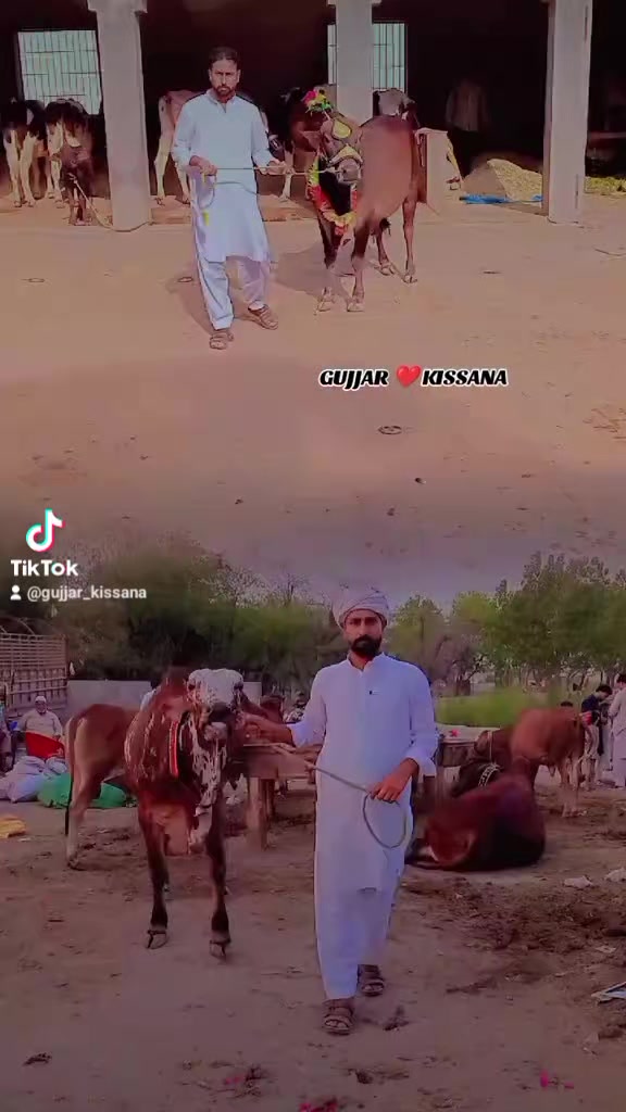 @𝐆𝐔𝐉𝐉𝐀𝐑 𝐊𝐈𝐒𝐒𝐀𝐍𝐀55