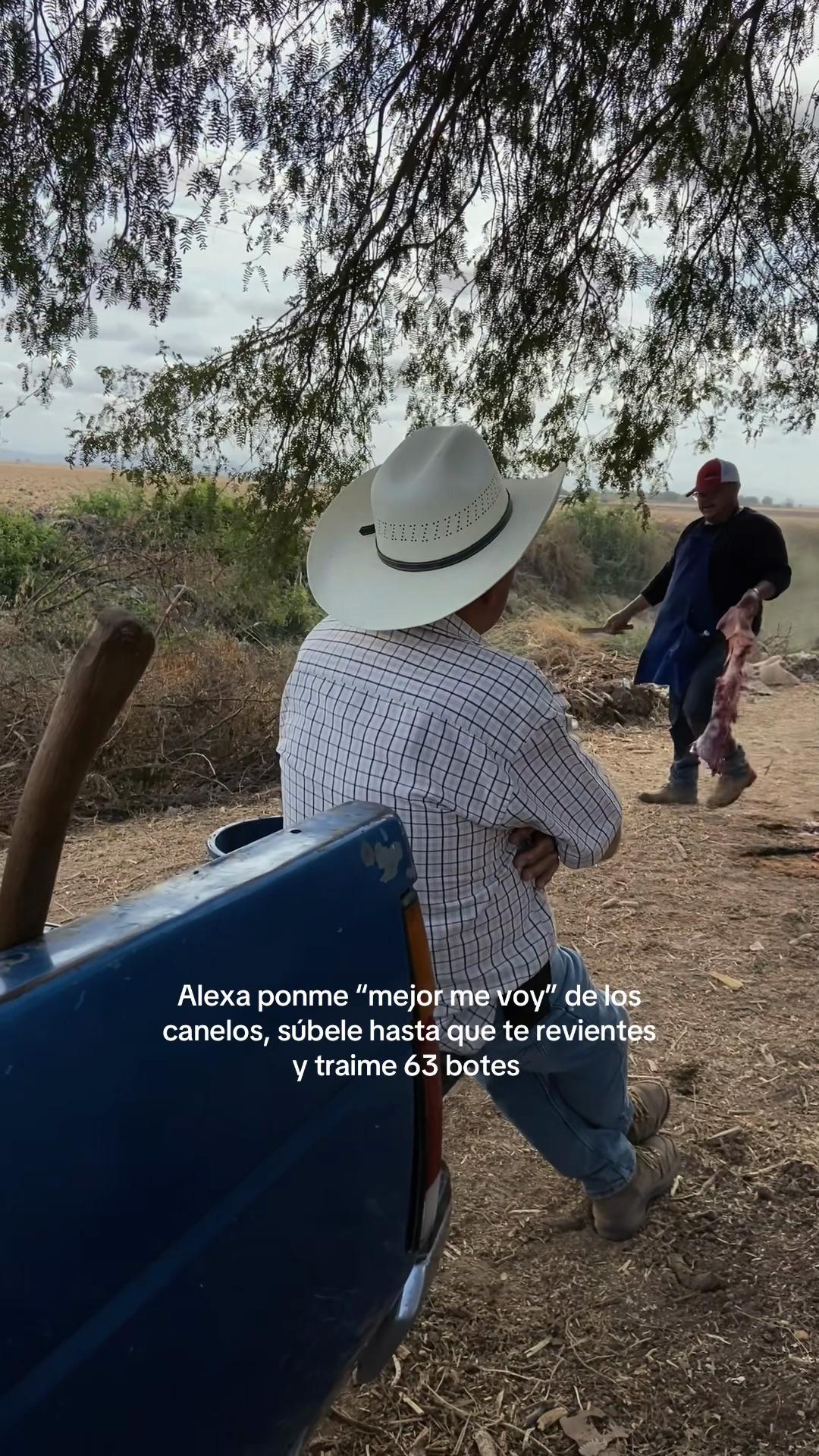 @Ueeep