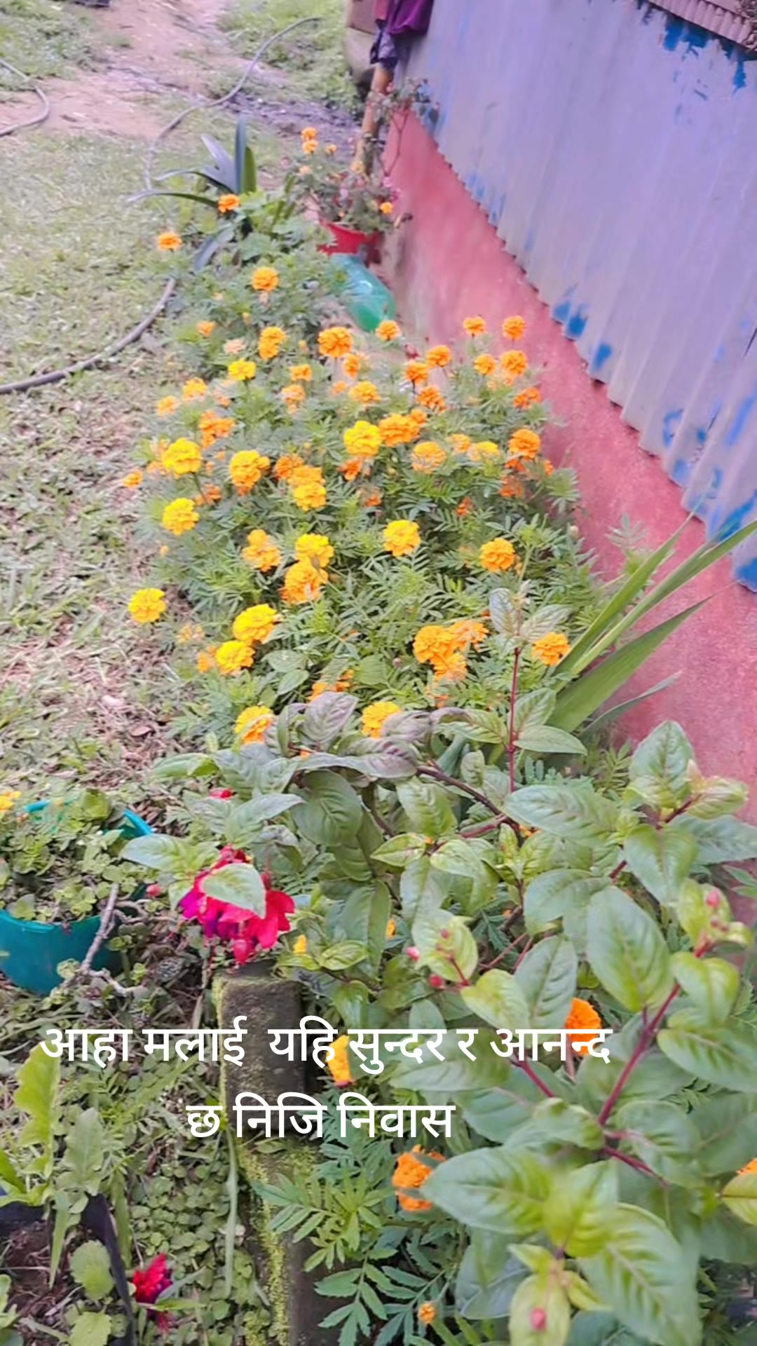 @Urmila Mishra