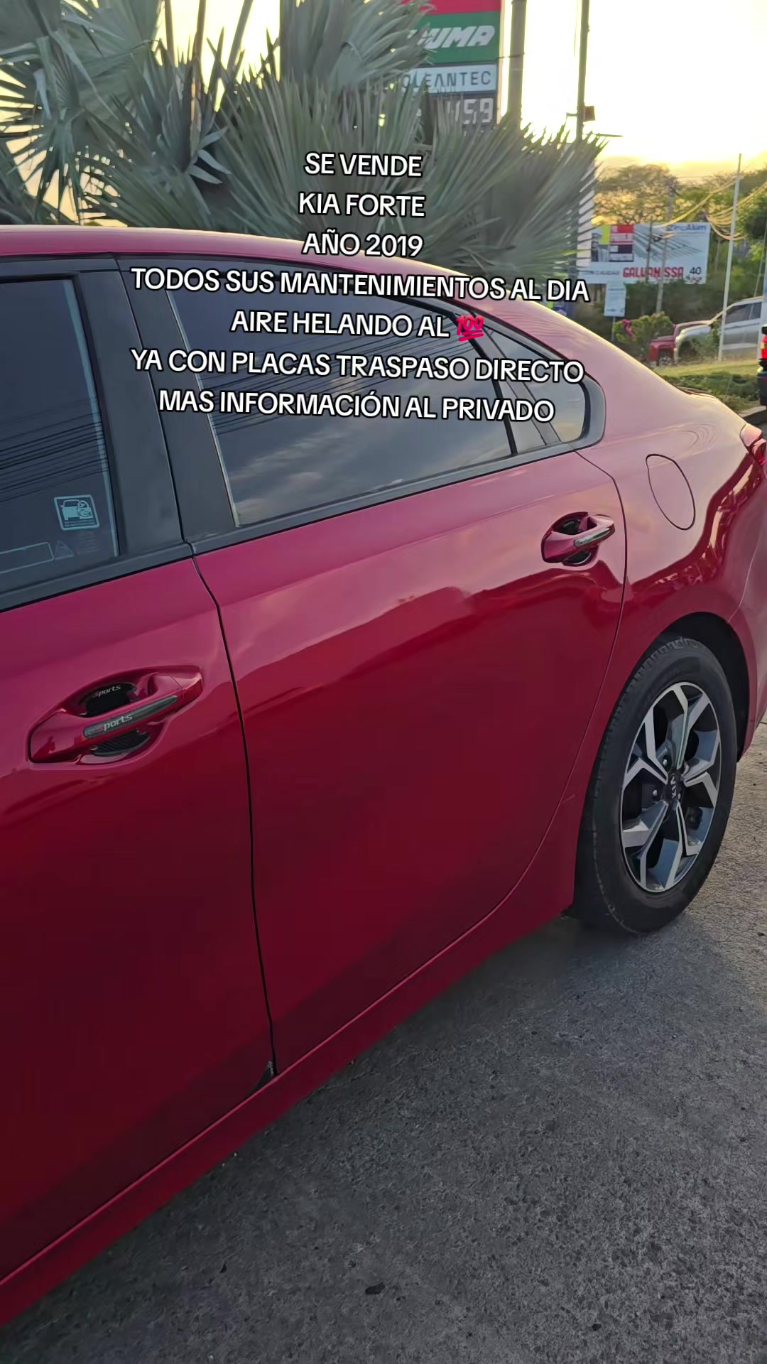 @Bonilla503🇸🇻