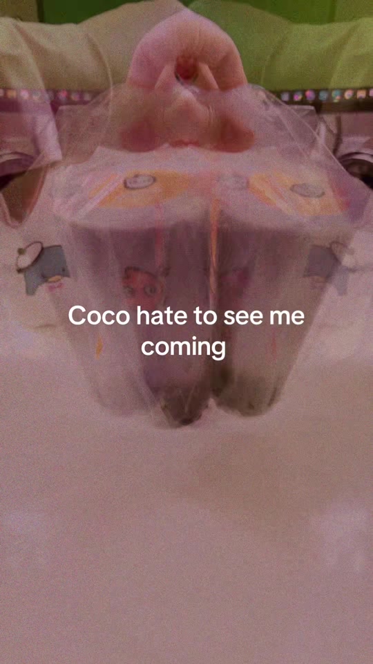 @Kayy