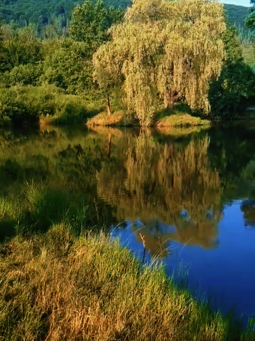 @Roman Bovysh