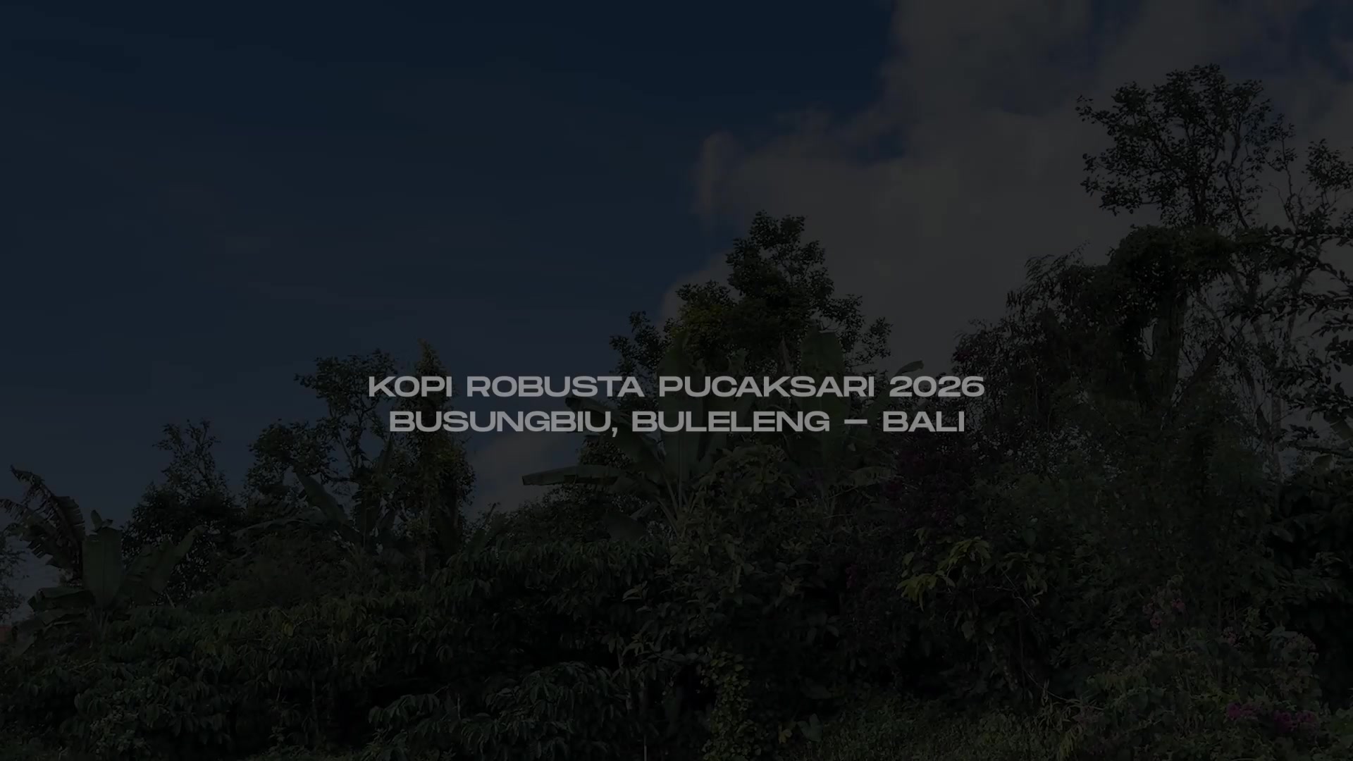 @Nyoman Suardana