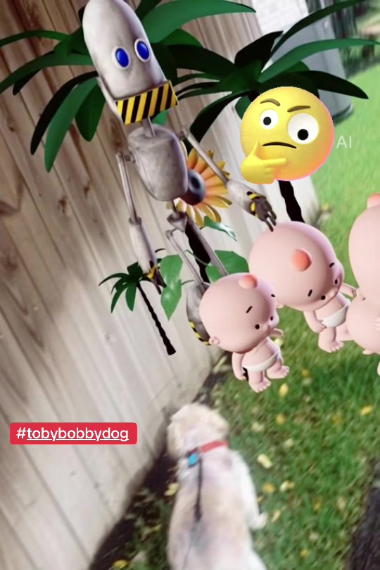 @Tobybobbydog
