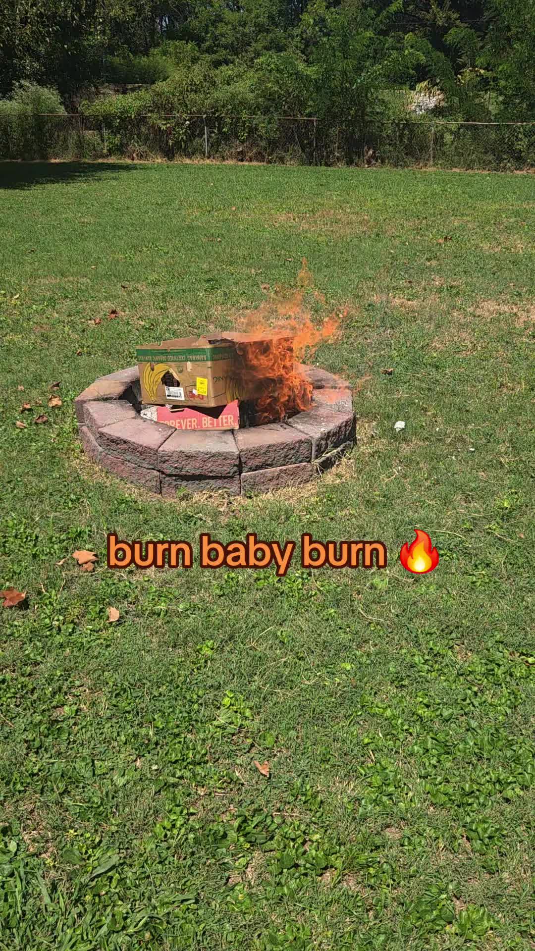 @Cindy🐈