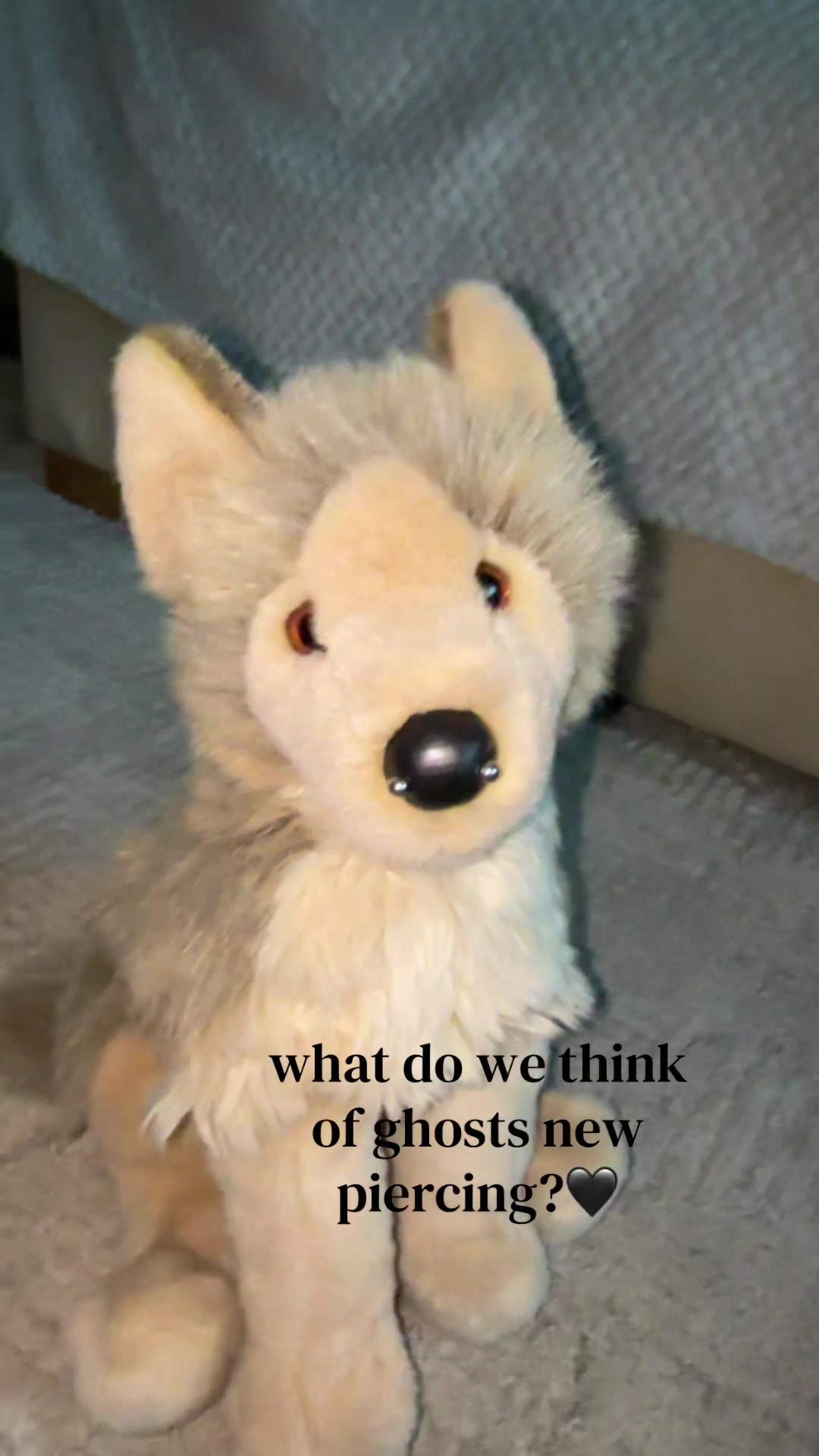 @🦴˖˚ ᴊ𝘶ꪀꫀ ˖˚🌼