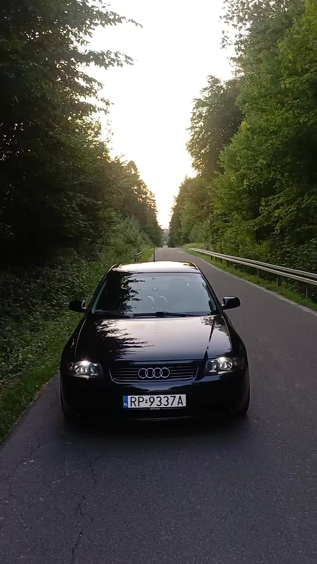 @Lysik_19