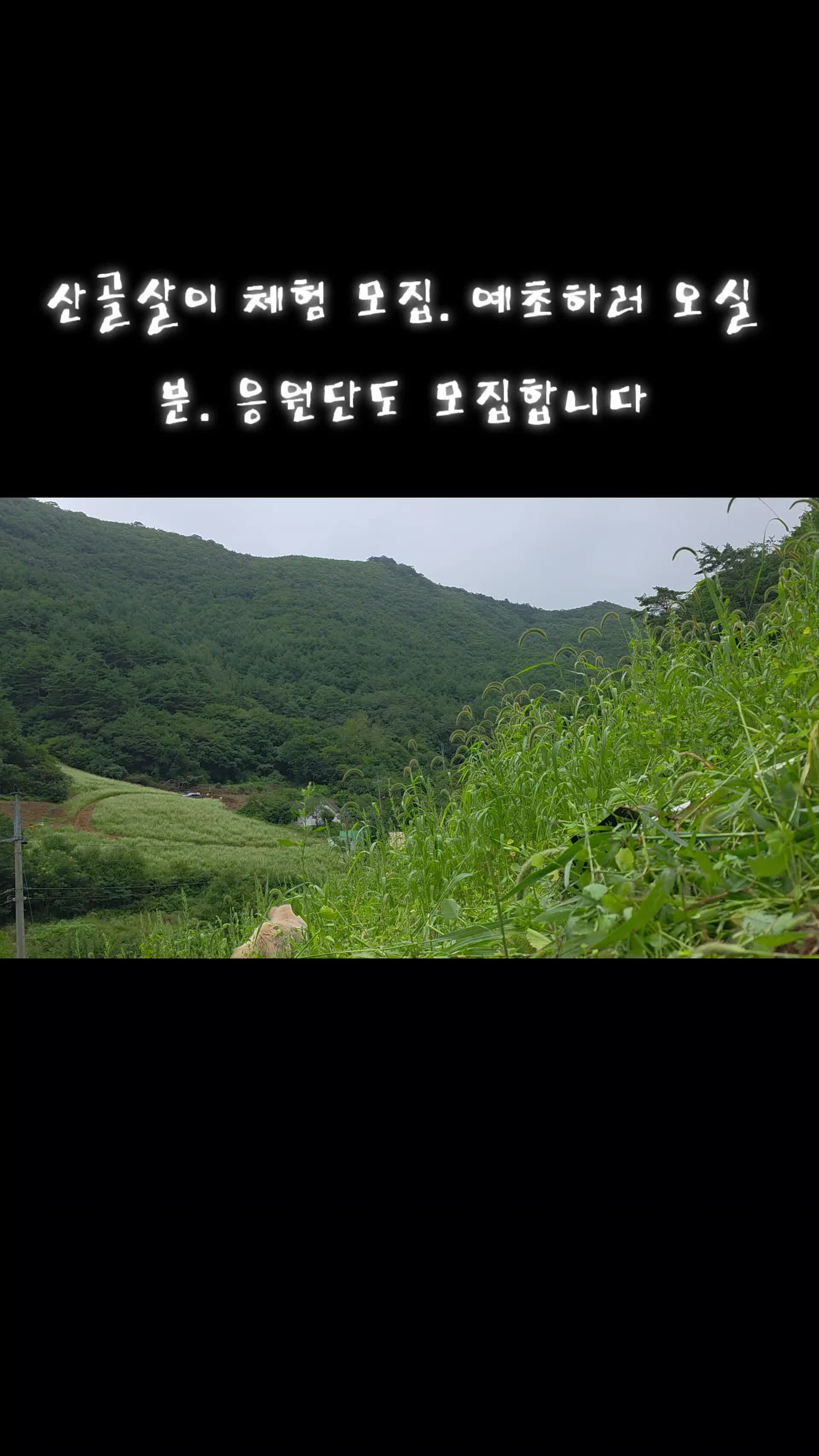@유튜브 "정선사람들" 안용현