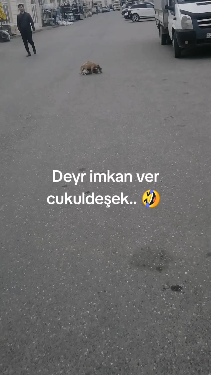 @şako_236✅