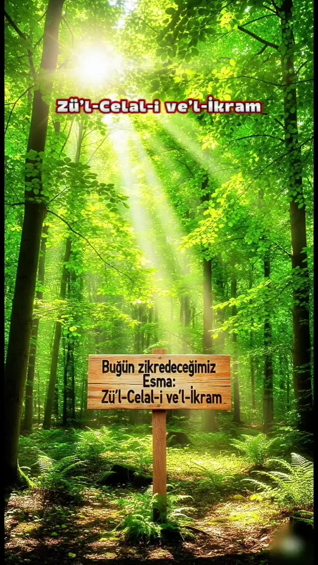 @Aksaray 68