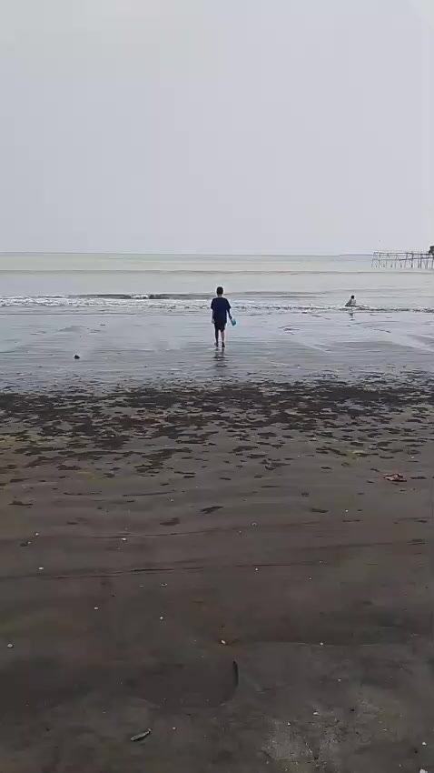 @opisptra