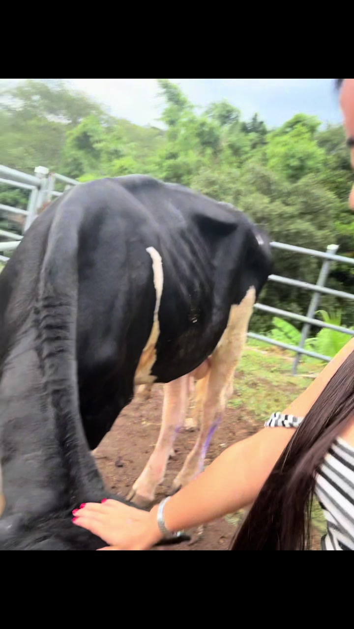 @Dalila Melara