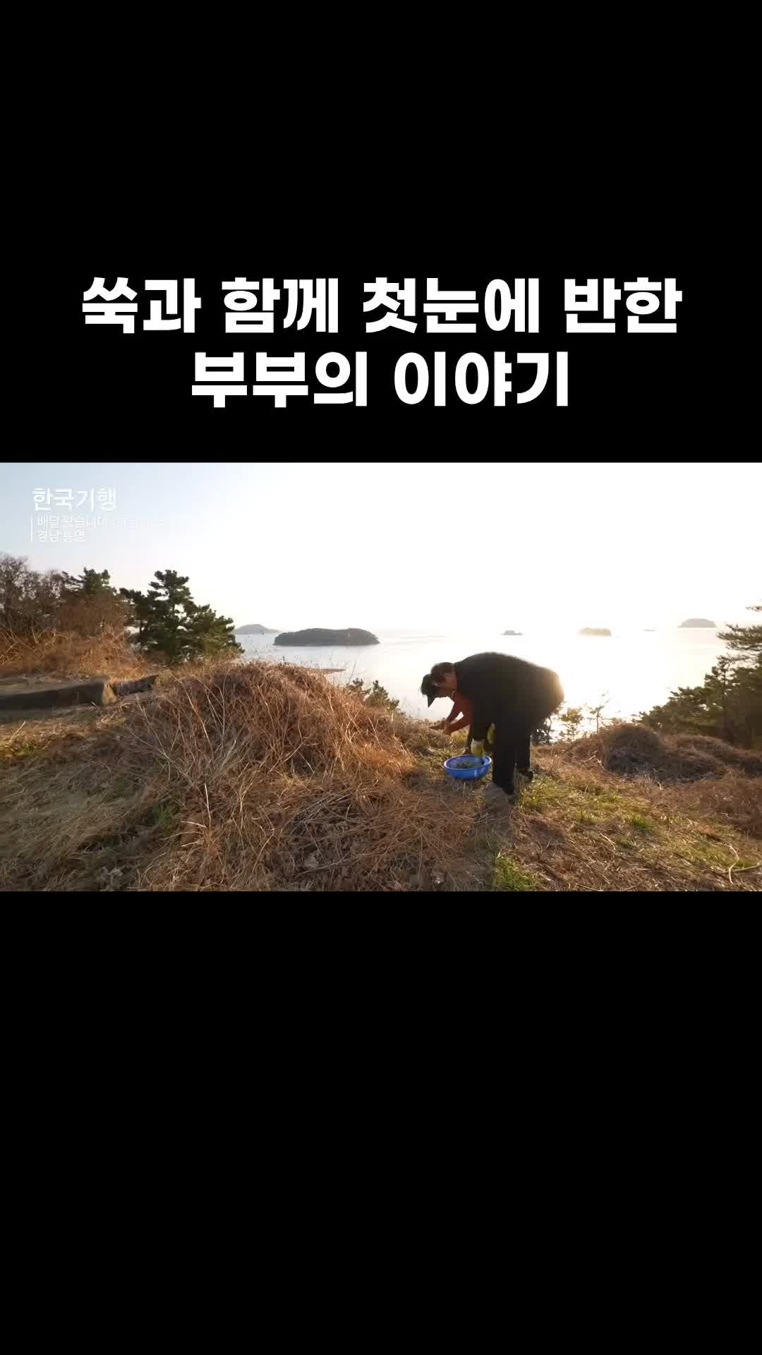 @EBS 다큐