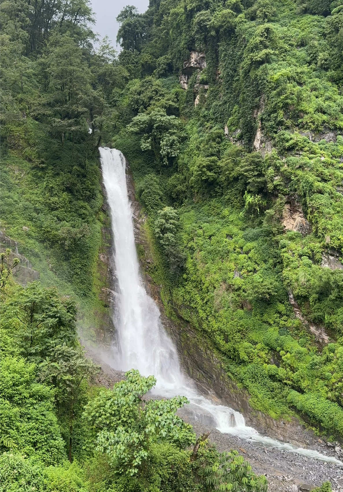 @Pratima Gurung