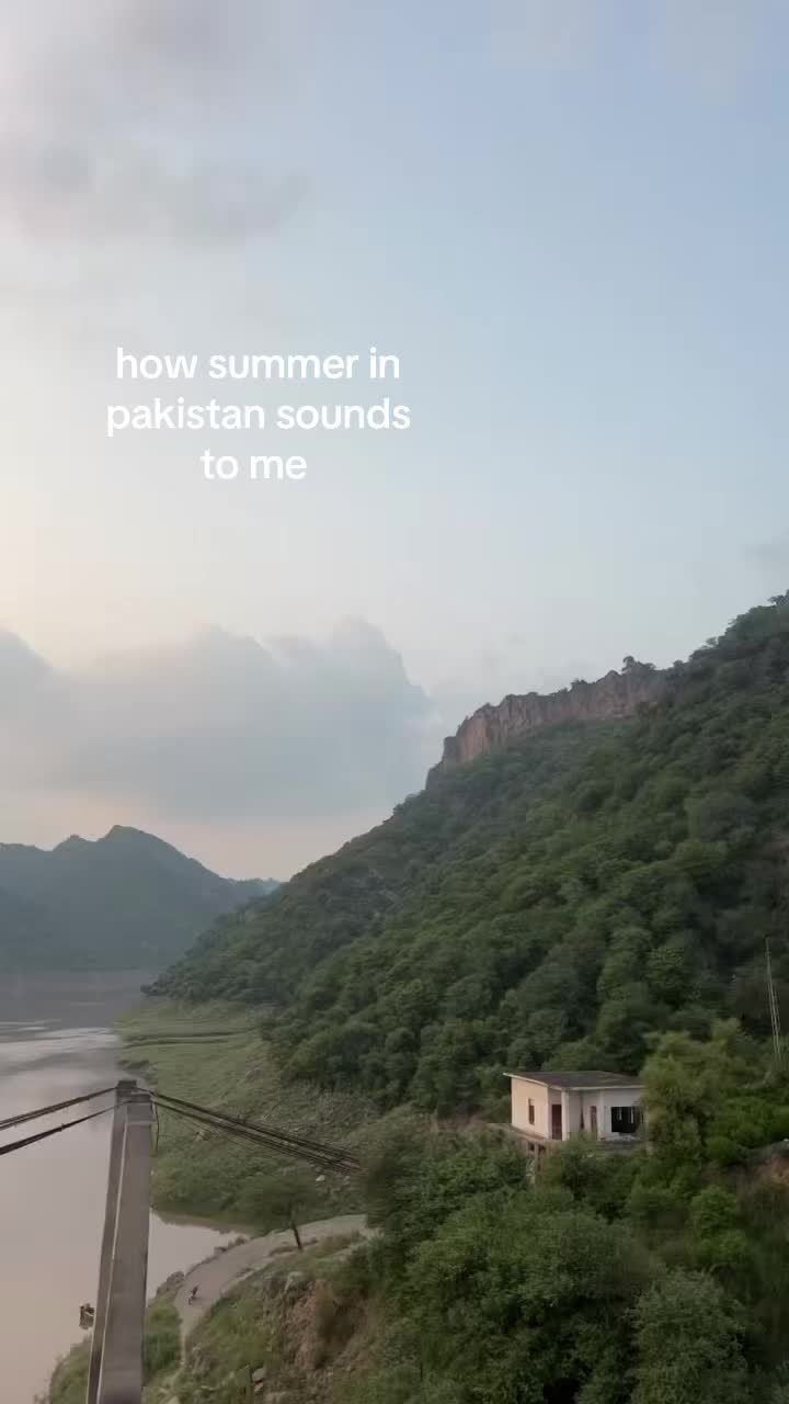 @aliza