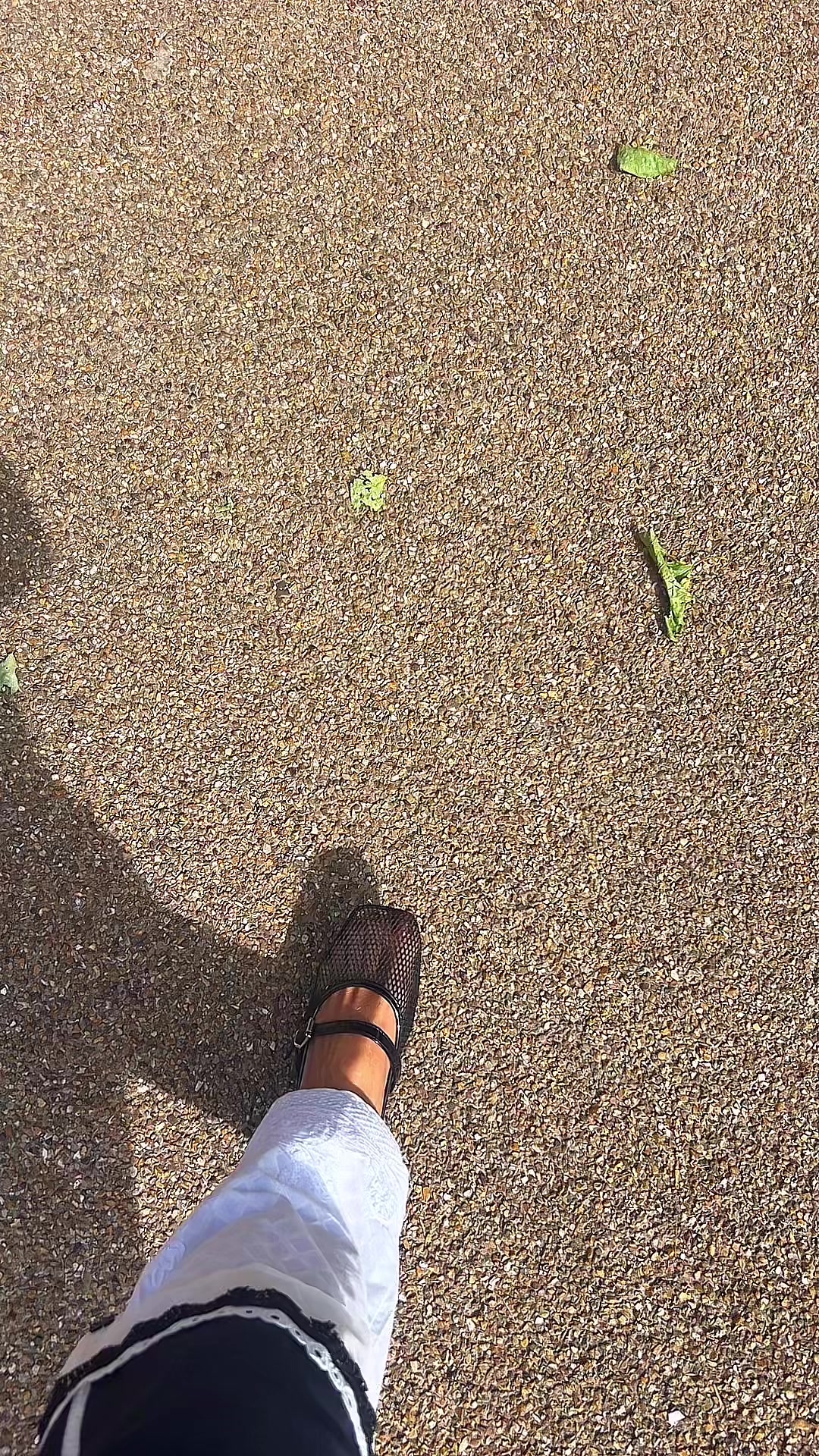 @꧁ֆɦǟɦ ռɨ ɢ꧂