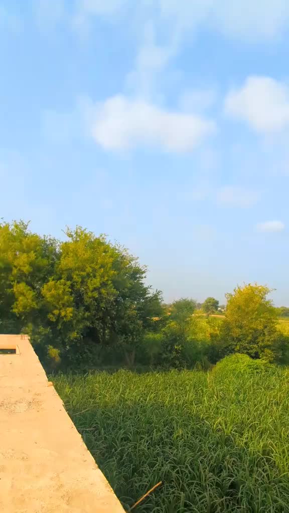 @🥷Malik Usman Khokhar 🥷🦅🦅