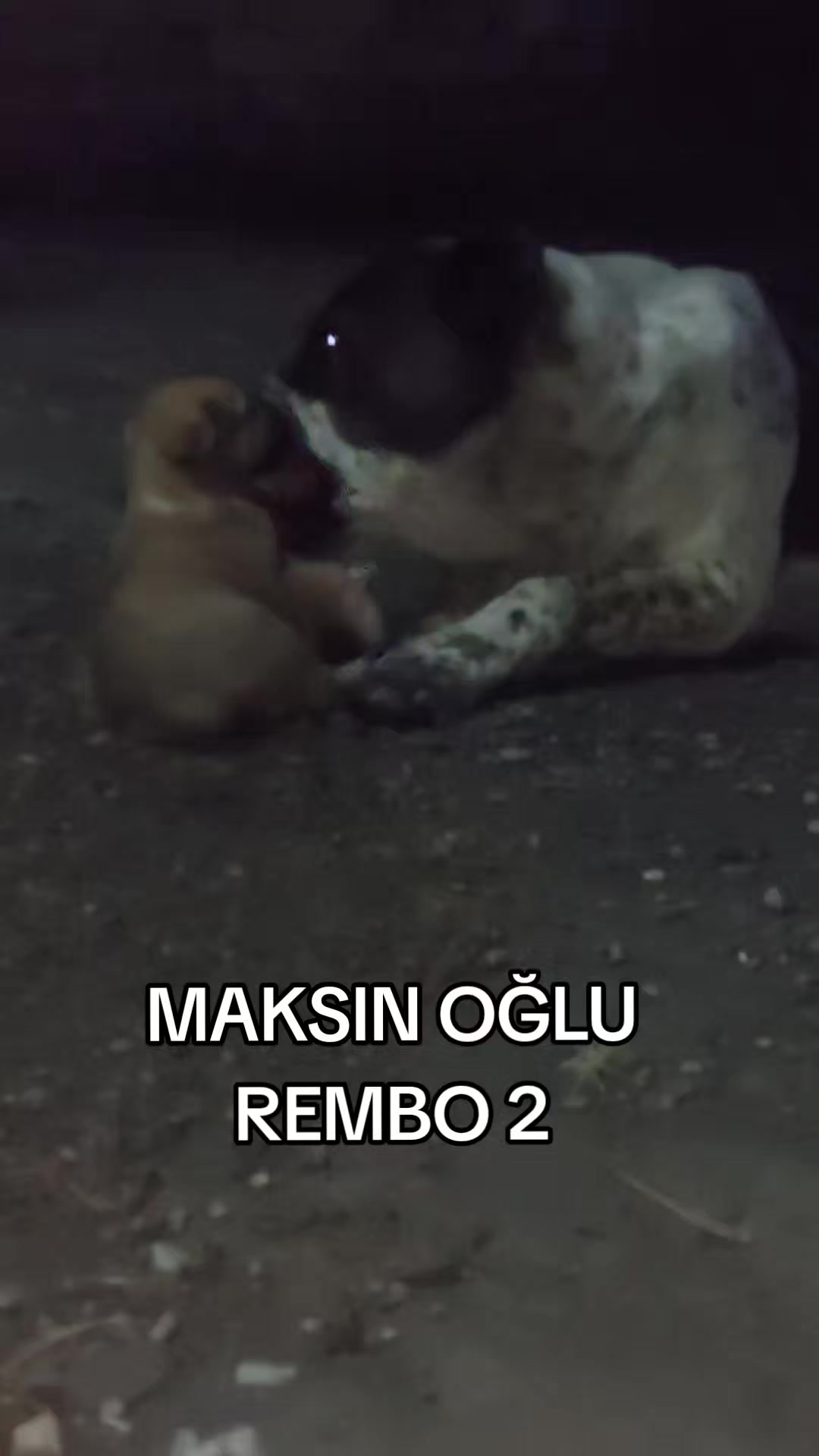 @Elşad__007