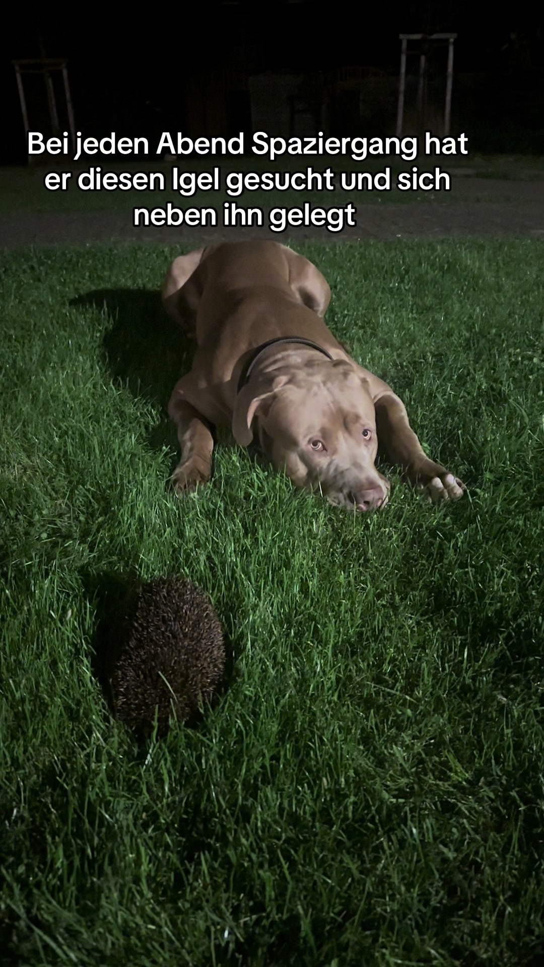 @𝐀𝐋𝐈𝐍𝐀.